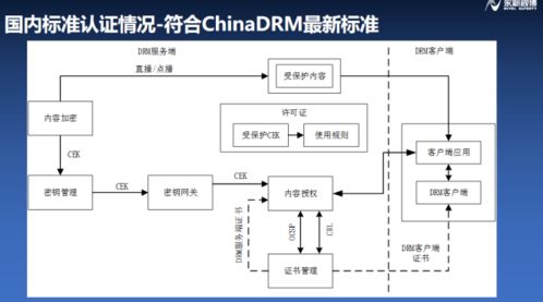 構(gòu)建符合融媒體安全的版權(quán)保護系統(tǒng)——浦江論道永新視博李自東談IPTV行業(yè)健康生態(tài)軟件開發(fā)