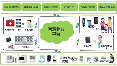 社區(qū)居家養(yǎng)老服務(wù)現(xiàn)狀制約長(zhǎng)照險(xiǎn)支付制度設(shè)計(jì)的計(jì)算機(jī)系統(tǒng)服務(wù)視角